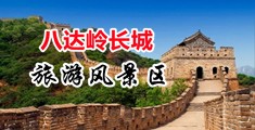 日本鸡巴无遮视频中国北京-八达岭长城旅游风景区